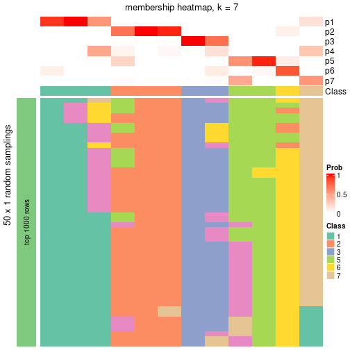 plot of chunk tab-node-0432-membership-heatmap-6