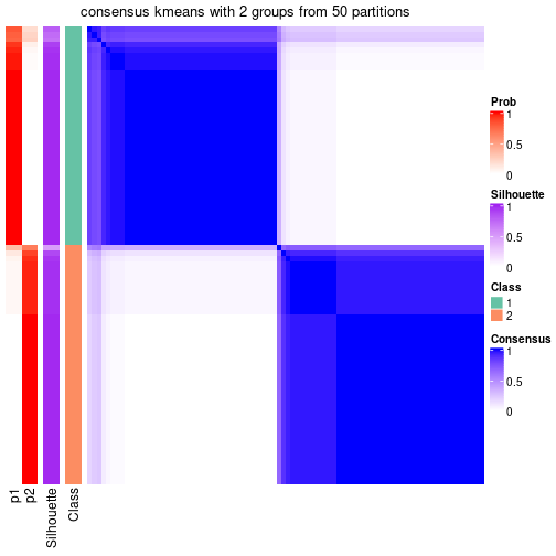 plot of chunk tab-node-05-consensus-heatmap-1