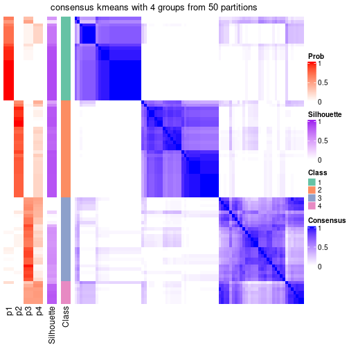 plot of chunk tab-node-05-consensus-heatmap-3