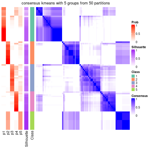 plot of chunk tab-node-05-consensus-heatmap-4