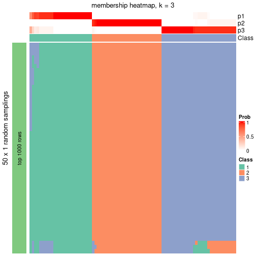 plot of chunk tab-node-05-membership-heatmap-2