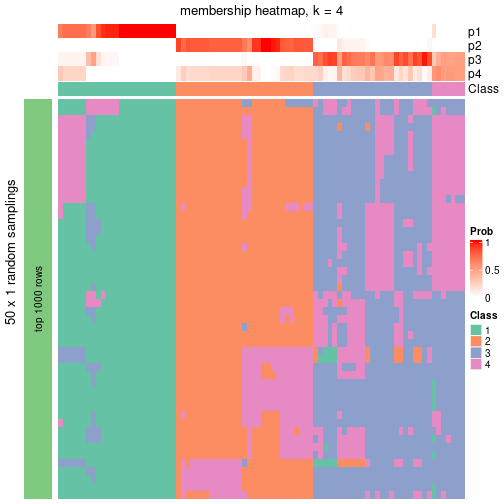 plot of chunk tab-node-05-membership-heatmap-3