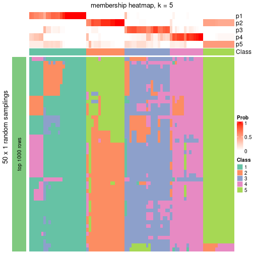 plot of chunk tab-node-05-membership-heatmap-4