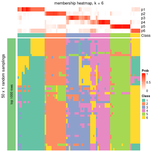 plot of chunk tab-node-05-membership-heatmap-5