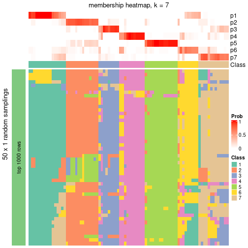 plot of chunk tab-node-05-membership-heatmap-6