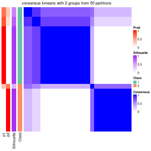 plot of chunk tab-node-051-consensus-heatmap-1