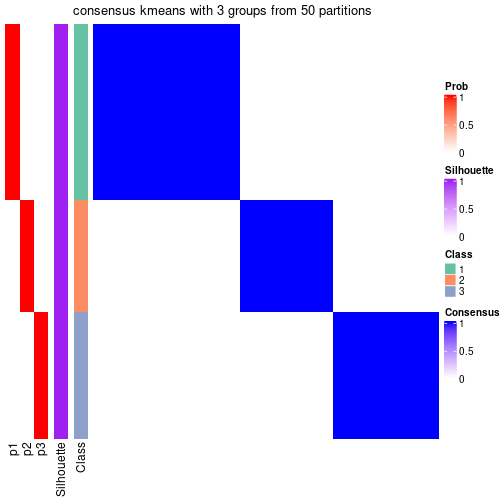 plot of chunk tab-node-051-consensus-heatmap-2