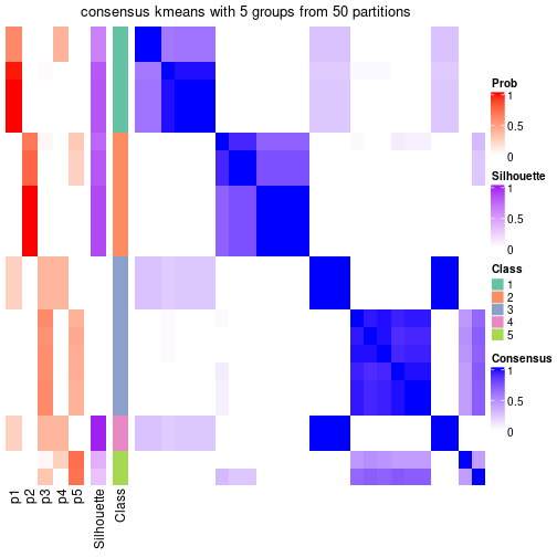 plot of chunk tab-node-051-consensus-heatmap-4