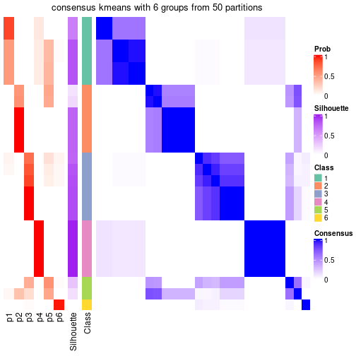 plot of chunk tab-node-051-consensus-heatmap-5