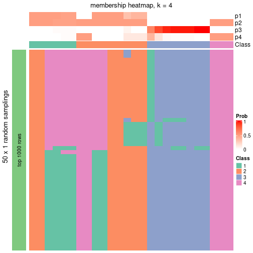 plot of chunk tab-node-051-membership-heatmap-3