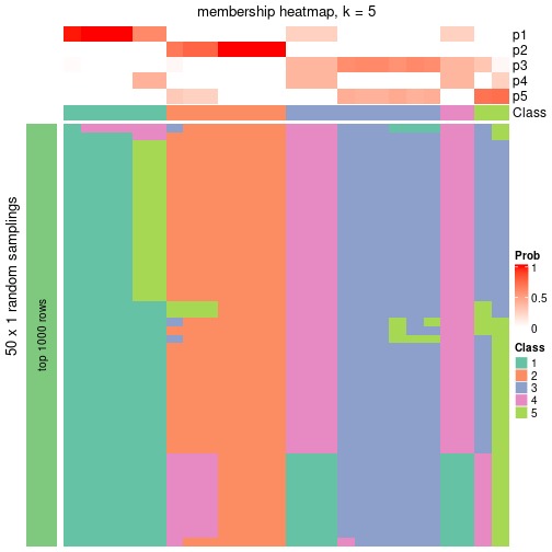 plot of chunk tab-node-051-membership-heatmap-4