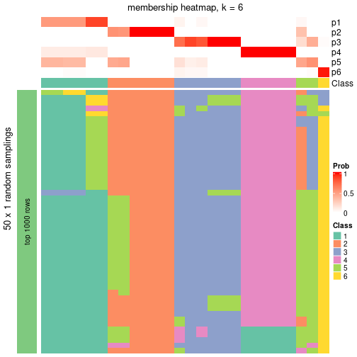 plot of chunk tab-node-051-membership-heatmap-5