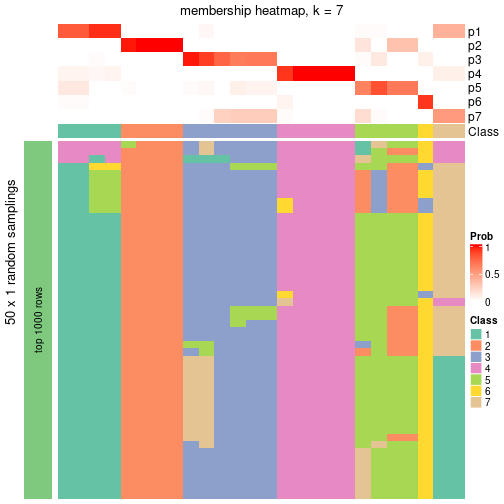 plot of chunk tab-node-051-membership-heatmap-6