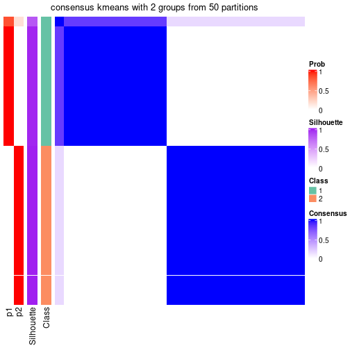 plot of chunk tab-node-052-consensus-heatmap-1