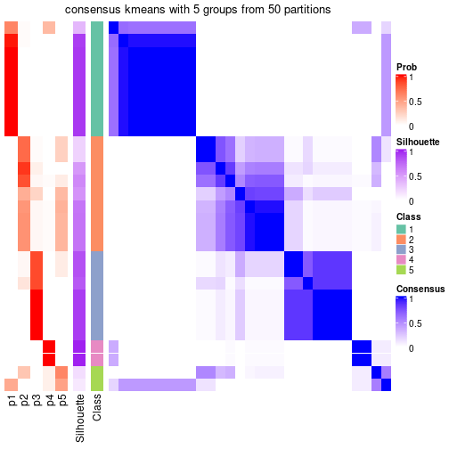 plot of chunk tab-node-052-consensus-heatmap-4