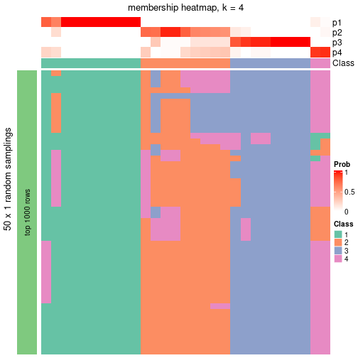 plot of chunk tab-node-052-membership-heatmap-3