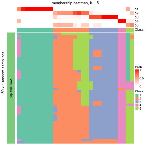 plot of chunk tab-node-052-membership-heatmap-4