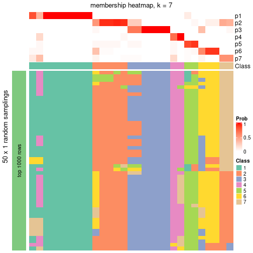 plot of chunk tab-node-052-membership-heatmap-6