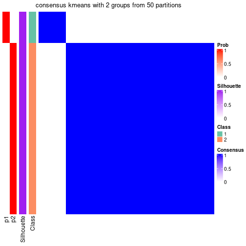 plot of chunk tab-node-0521-consensus-heatmap-1