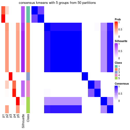 plot of chunk tab-node-0521-consensus-heatmap-4