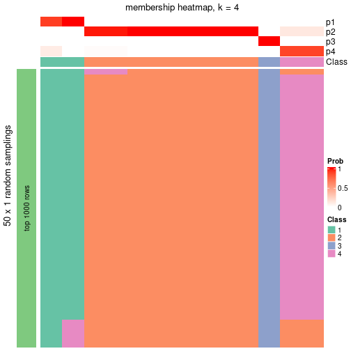 plot of chunk tab-node-0521-membership-heatmap-3