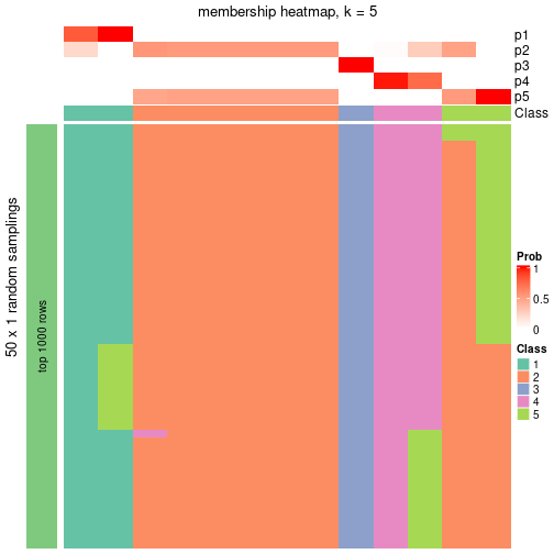 plot of chunk tab-node-0521-membership-heatmap-4