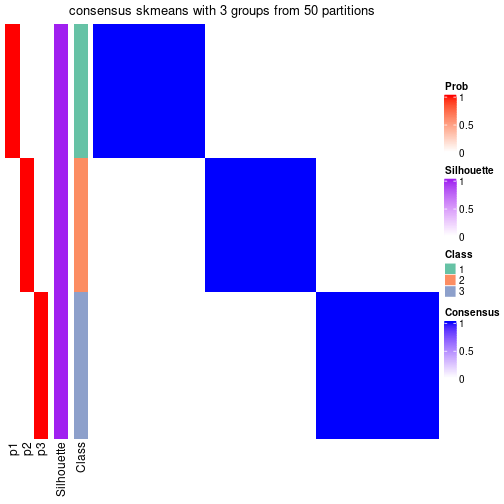 plot of chunk tab-node-053-consensus-heatmap-2