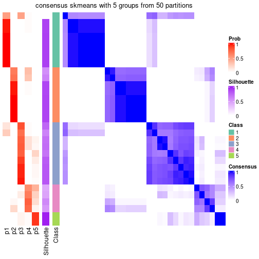 plot of chunk tab-node-053-consensus-heatmap-4