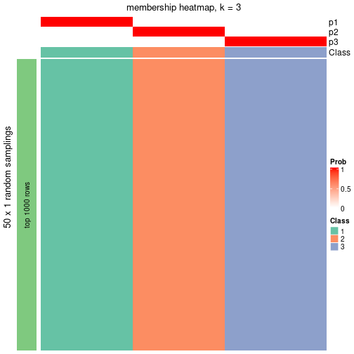 plot of chunk tab-node-053-membership-heatmap-2