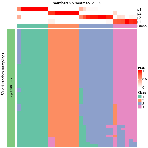 plot of chunk tab-node-053-membership-heatmap-3