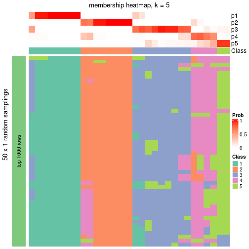 plot of chunk tab-node-053-membership-heatmap-4