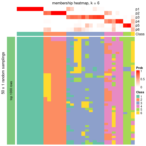 plot of chunk tab-node-053-membership-heatmap-5