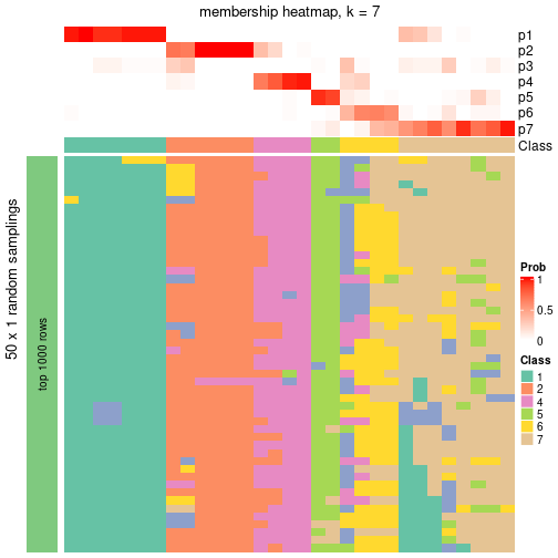 plot of chunk tab-node-053-membership-heatmap-6