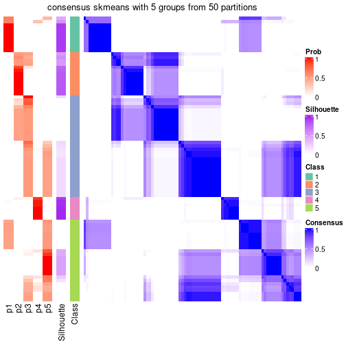 plot of chunk tab-node-0-consensus-heatmap-4