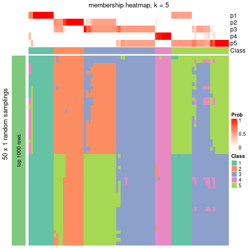 plot of chunk tab-node-0-membership-heatmap-4