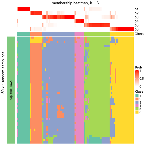 plot of chunk tab-node-0-membership-heatmap-5