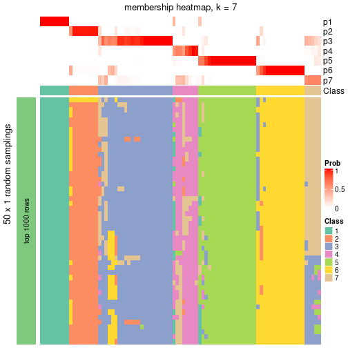 plot of chunk tab-node-0-membership-heatmap-6