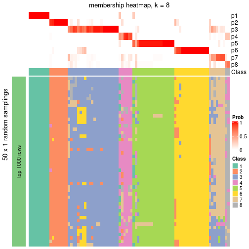 plot of chunk tab-node-0-membership-heatmap-7