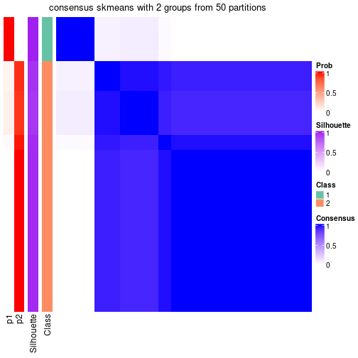 plot of chunk tab-node-01-consensus-heatmap-1