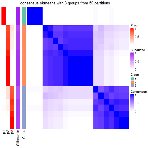 plot of chunk tab-node-01-consensus-heatmap-2