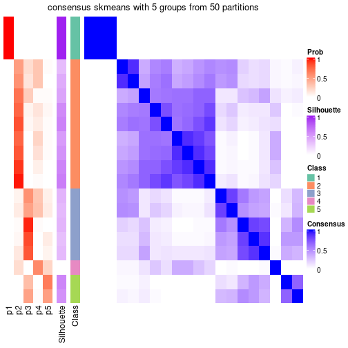 plot of chunk tab-node-01-consensus-heatmap-4