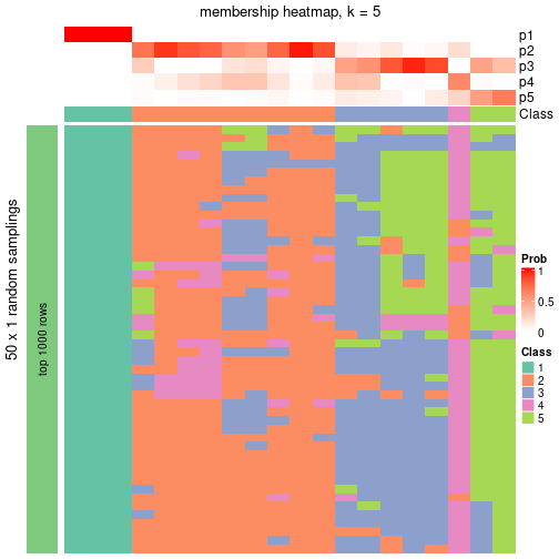 plot of chunk tab-node-01-membership-heatmap-4