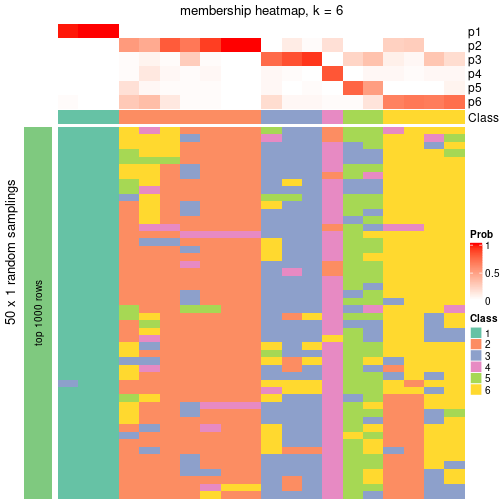 plot of chunk tab-node-01-membership-heatmap-5