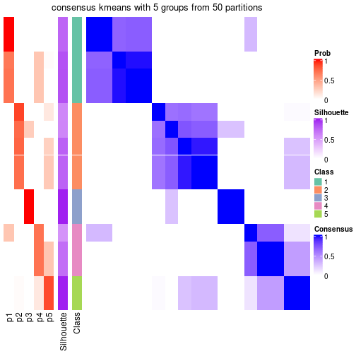 plot of chunk tab-node-012-consensus-heatmap-4