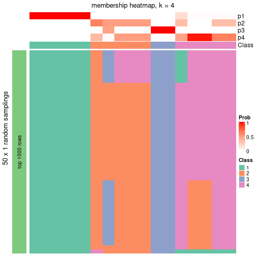 plot of chunk tab-node-012-membership-heatmap-3