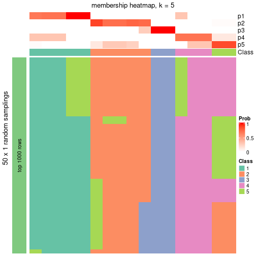 plot of chunk tab-node-012-membership-heatmap-4