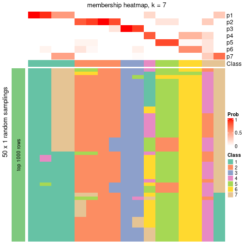 plot of chunk tab-node-012-membership-heatmap-6