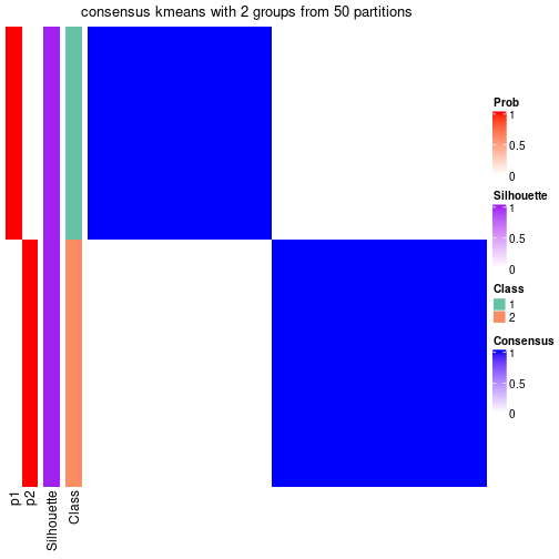 plot of chunk tab-node-02-consensus-heatmap-1