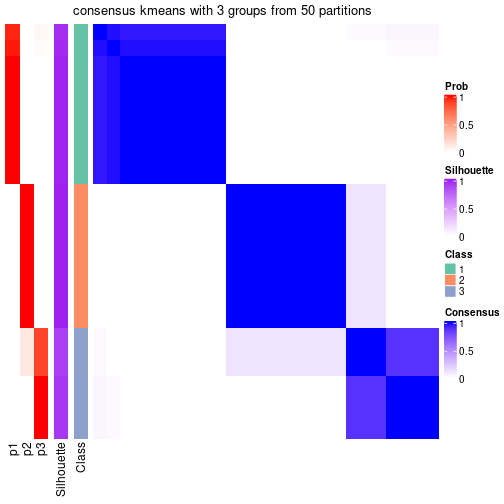 plot of chunk tab-node-02-consensus-heatmap-2