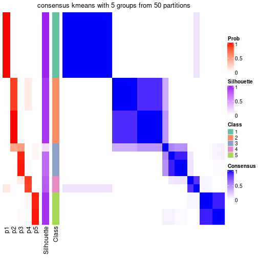 plot of chunk tab-node-02-consensus-heatmap-4